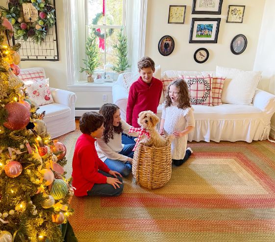 Red Jute Rug for Coy space